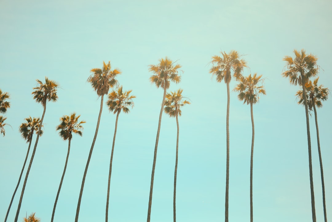 Photo Image: Animals Nouns: Legal, California